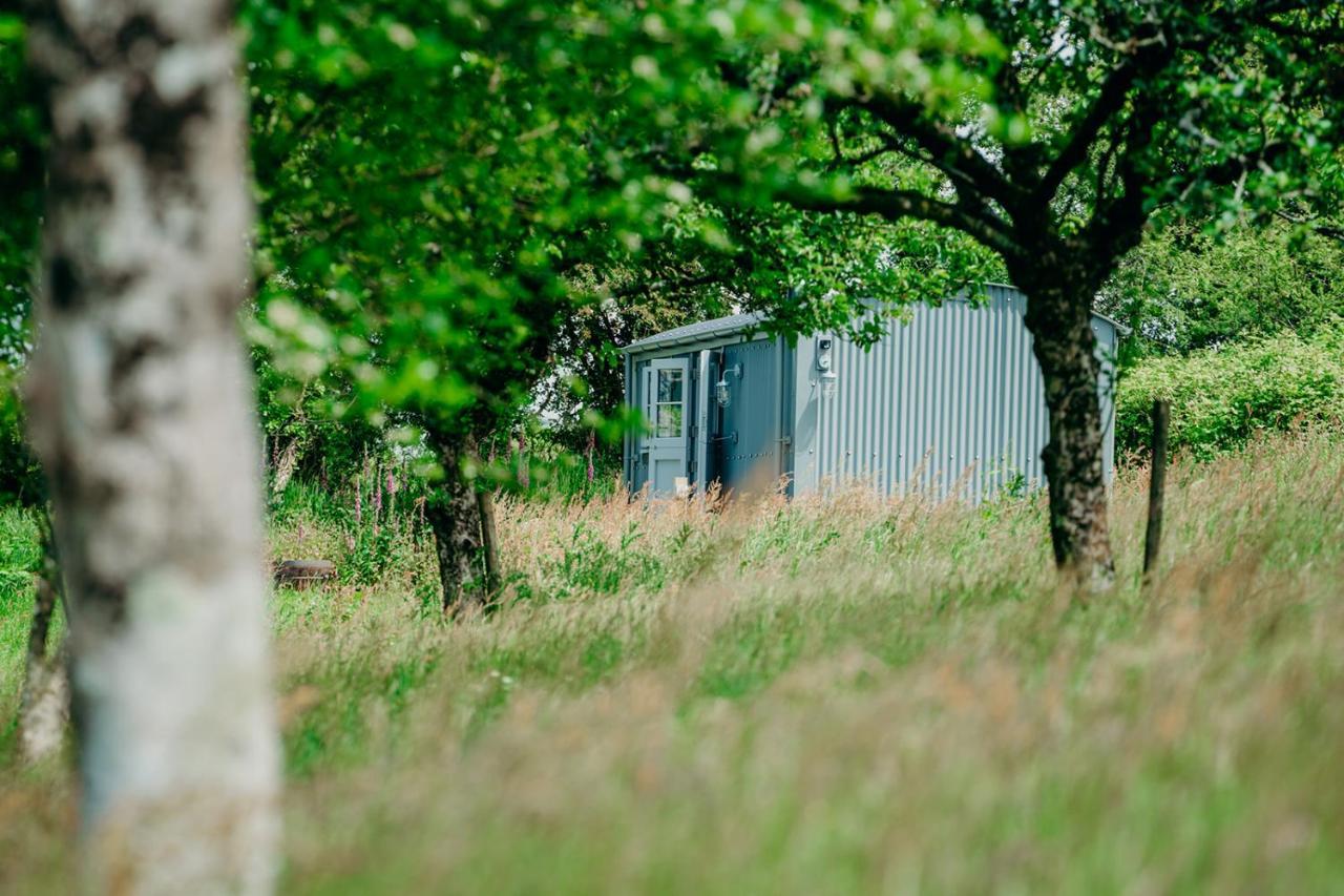 Blatchford Briar - Award Winning Private Shephards Huts With Their Own Secluded Hot Tubs Milton Abbot Exteriör bild
