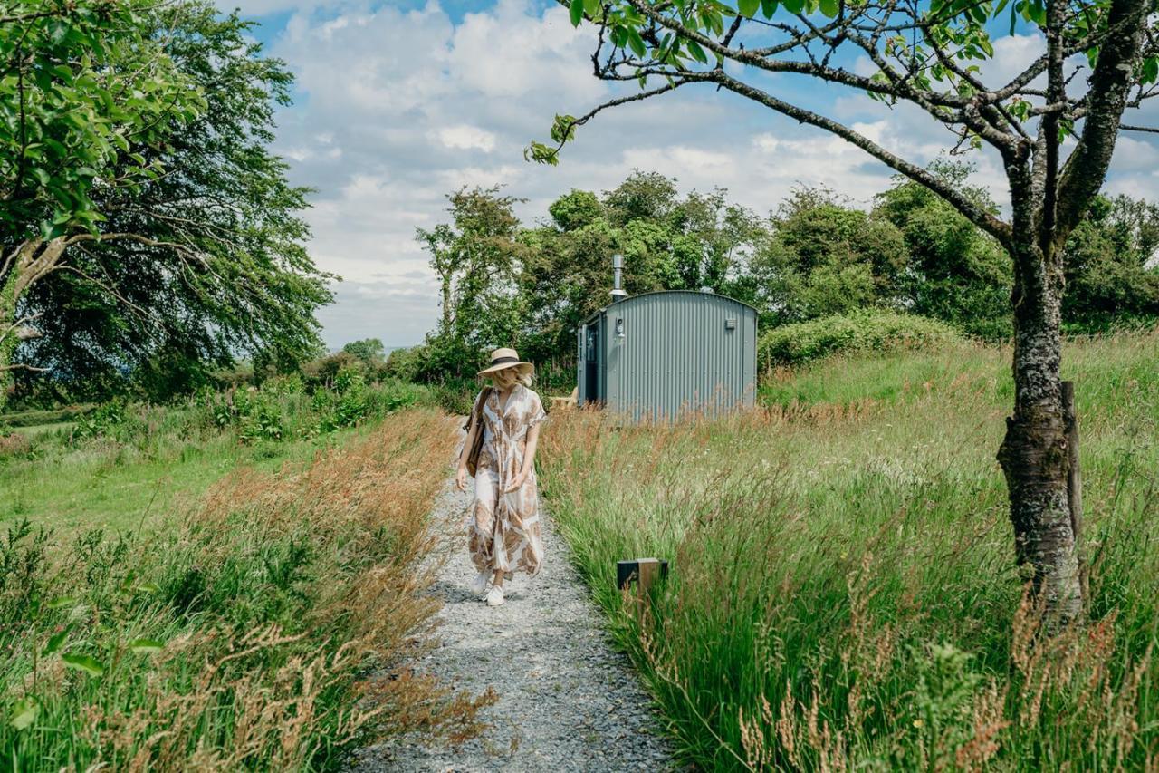 Blatchford Briar - Award Winning Private Shephards Huts With Their Own Secluded Hot Tubs Milton Abbot Exteriör bild