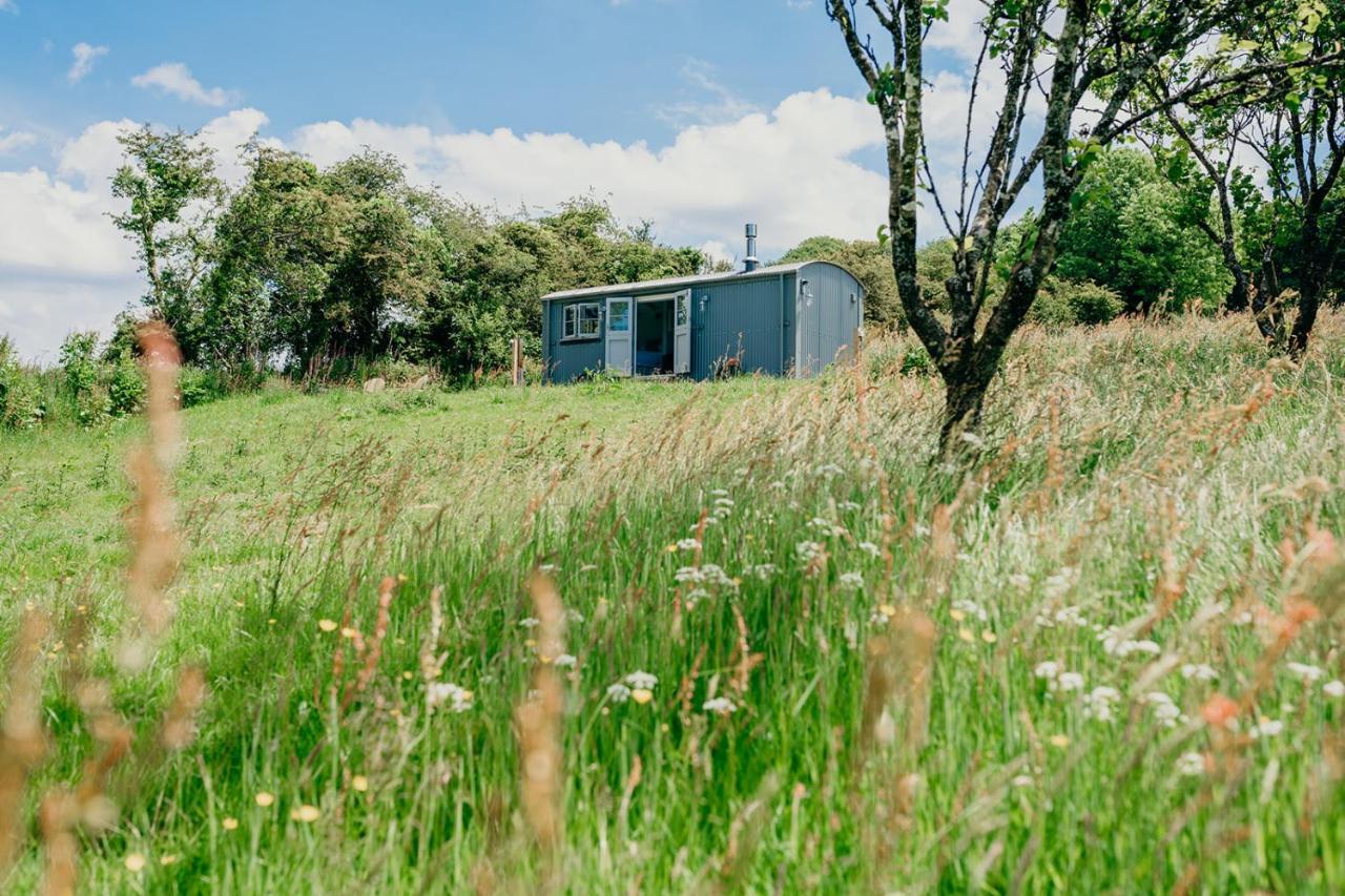 Blatchford Briar - Award Winning Private Shephards Huts With Their Own Secluded Hot Tubs Milton Abbot Exteriör bild