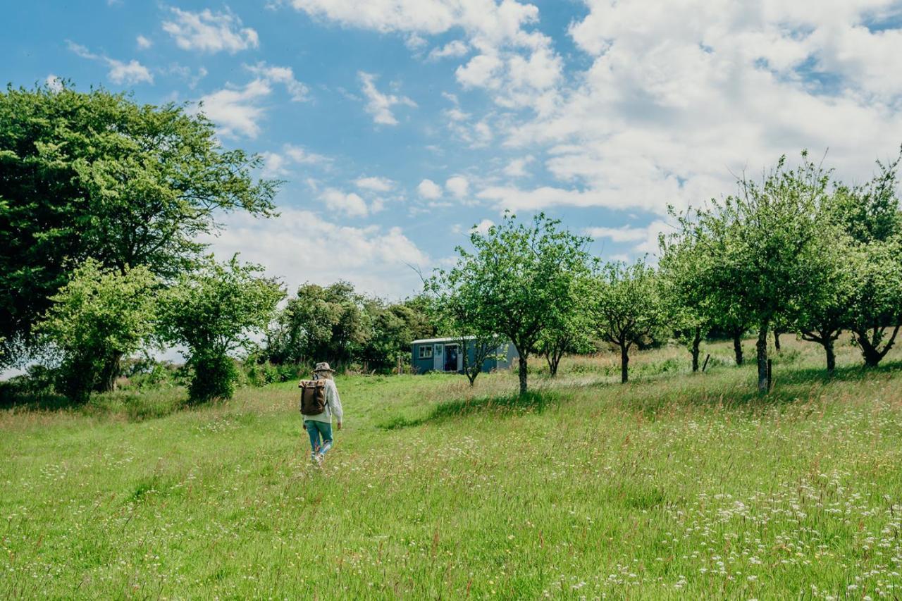 Blatchford Briar - Award Winning Private Shephards Huts With Their Own Secluded Hot Tubs Milton Abbot Exteriör bild