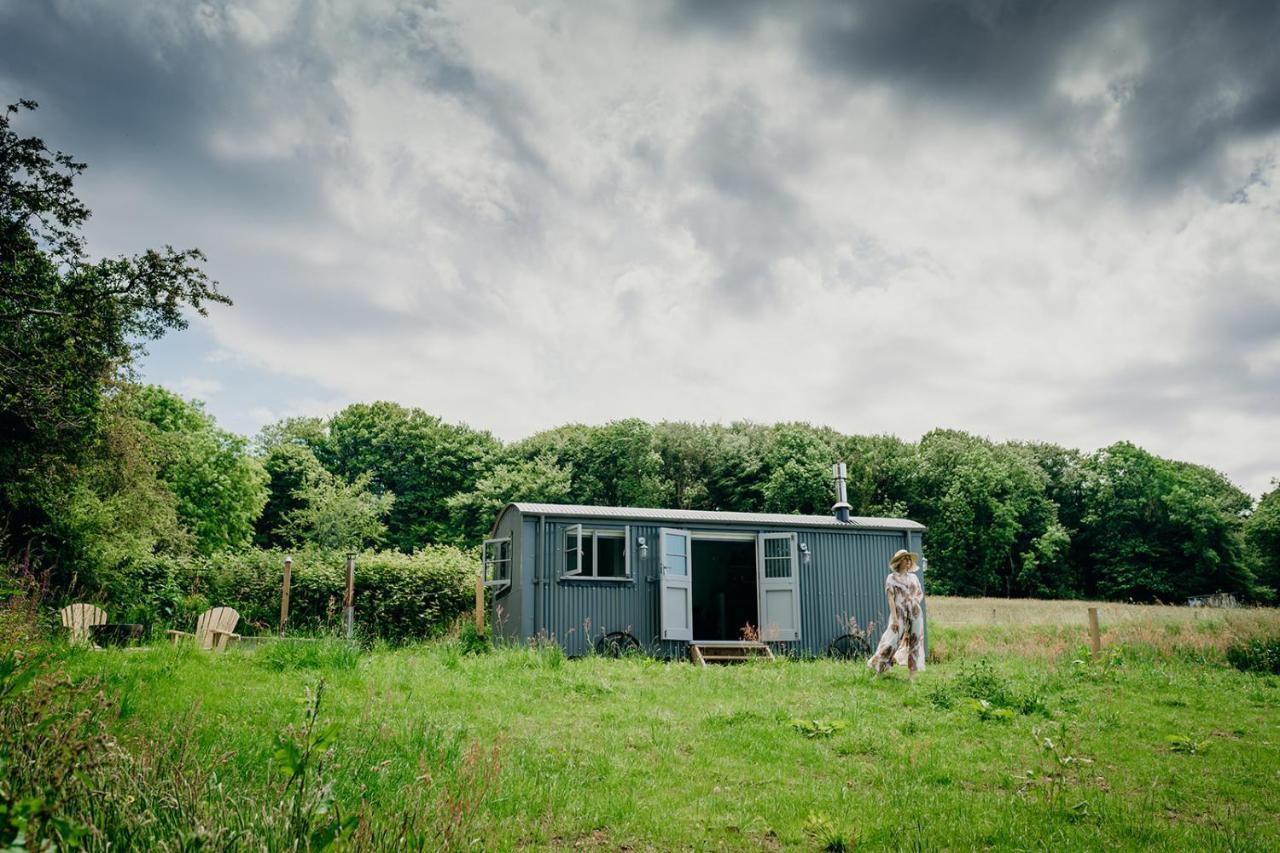 Blatchford Briar - Award Winning Private Shephards Huts With Their Own Secluded Hot Tubs Milton Abbot Exteriör bild